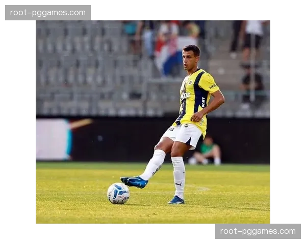 维拉阵容深度面临考验 赛季冲刺阶段或现疲态